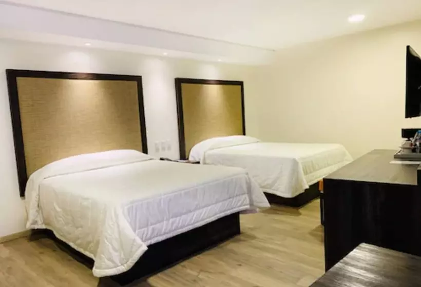 Fotos del hotel Lepanto:  21