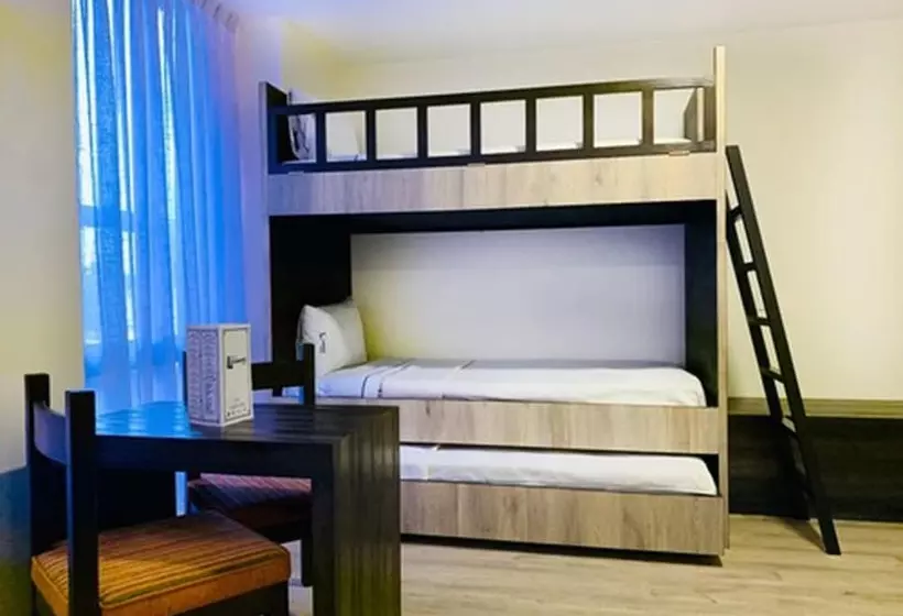 Fotos del hotel Lepanto:  23