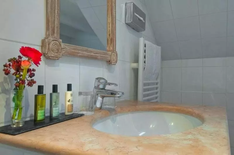 Fotos del hotel Les Rives De Notredame:  4