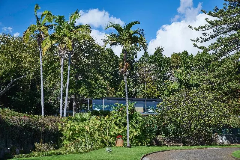 Fotos del hotel Quinta Da Casa Branca:  3