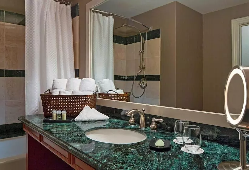 Fotos del hotel The Westin Houston Downtown:  15