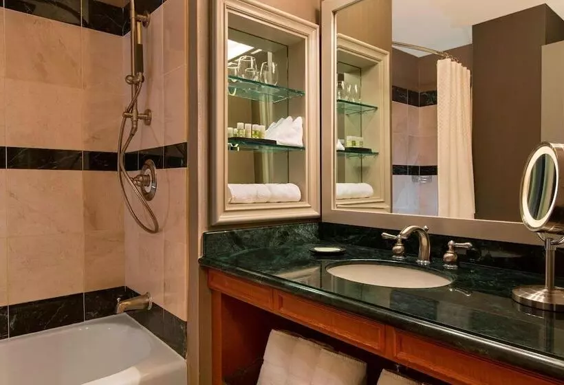 Fotos del hotel The Westin Houston Downtown:  7