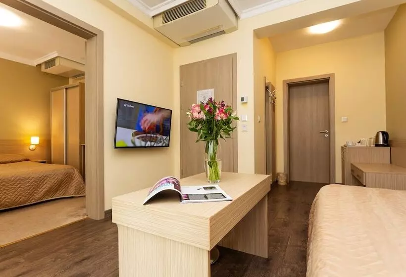 Fotos del hotel Geneva:  21