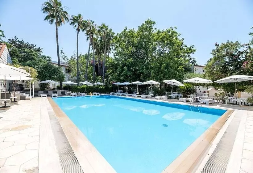 Fotos del hotel Riverside Garden Resort:  9