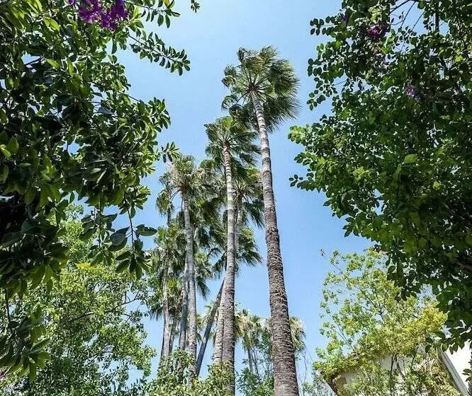 Fotos del hotel Riverside Garden Resort:  7