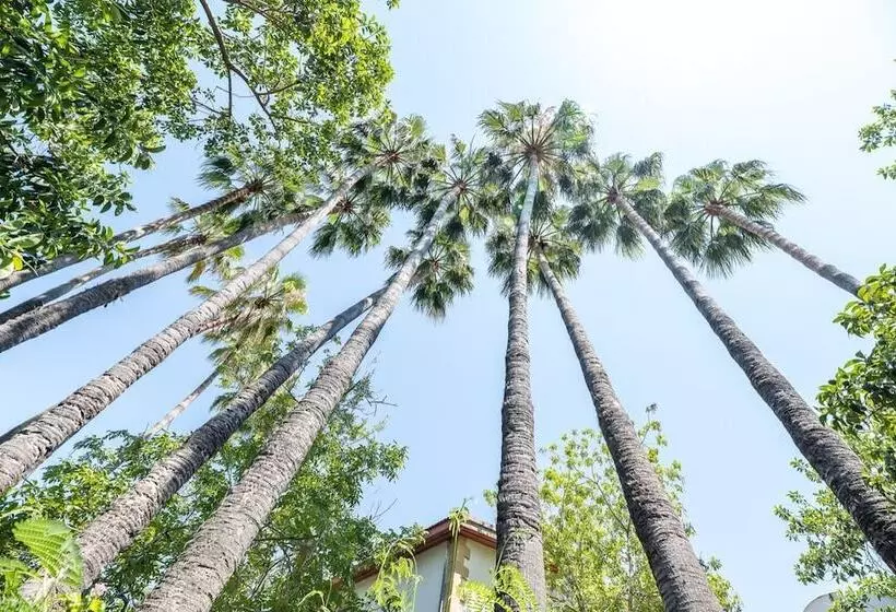 Fotos del hotel Riverside Garden Resort:  19