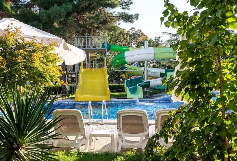 Fotos del hotel Ihotel Sunny Beach:  19