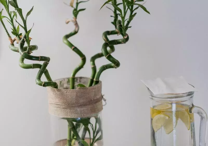 Fotos del hotel Palacio De Los Navas:  16