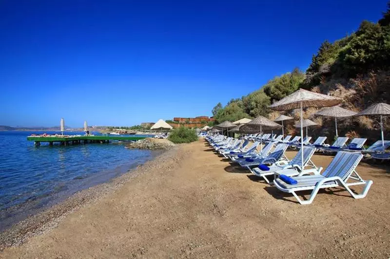 Fotos del hotel Forever Club  Adult Only:  9