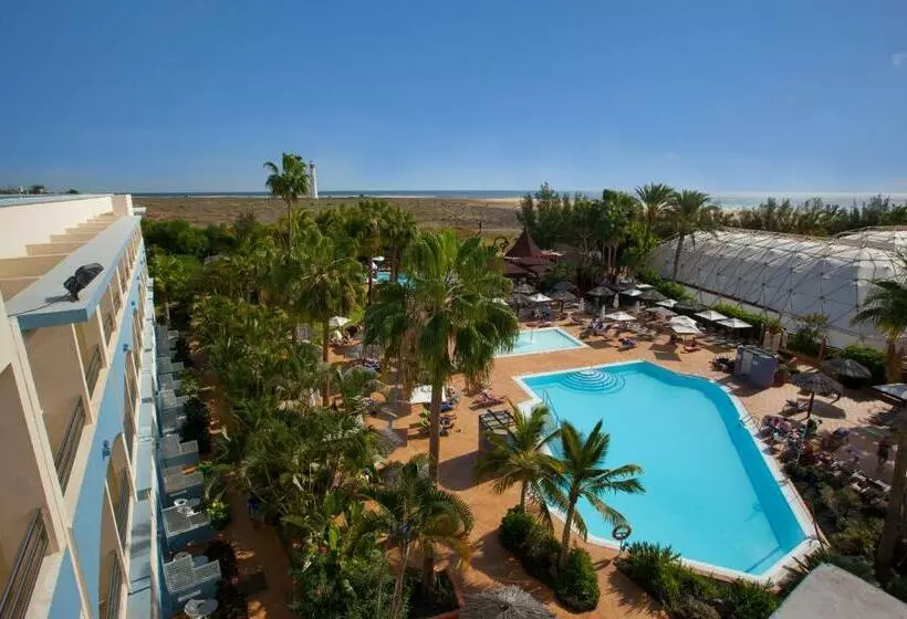 Fotos del hotel Ifa Altamarena:  55