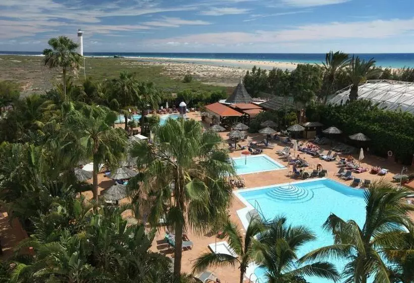 Fotos del hotel Ifa Altamarena:  54