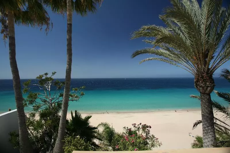 Fotos del hotel Ifa Altamarena:  28