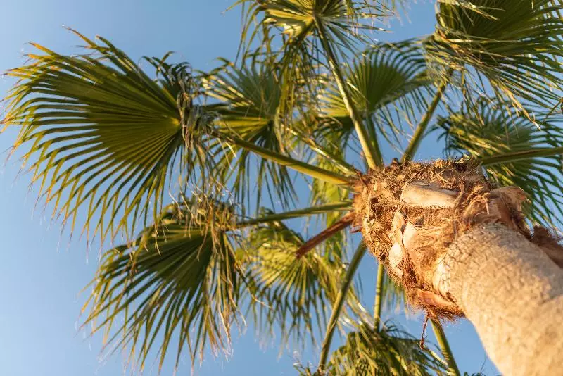 Fotos del hotel Finca  Can Canals & Spa:  12