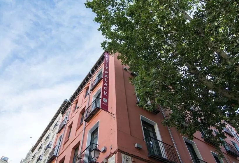 Fotos del hotel Petit Palace Plaza Del Carmen:  7