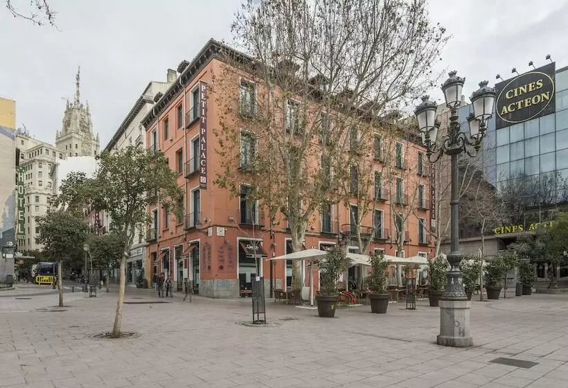 Fotos del hotel Petit Palace Plaza Del Carmen:  13