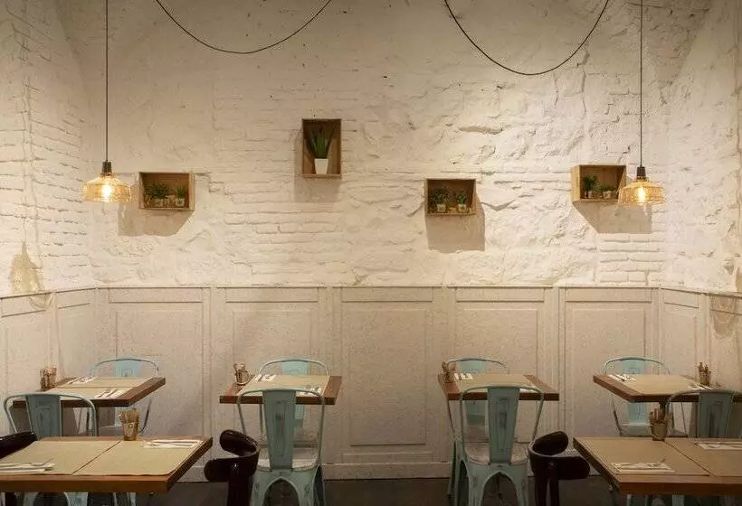 Fotos del hotel Petit Palace Plaza Del Carmen:  10