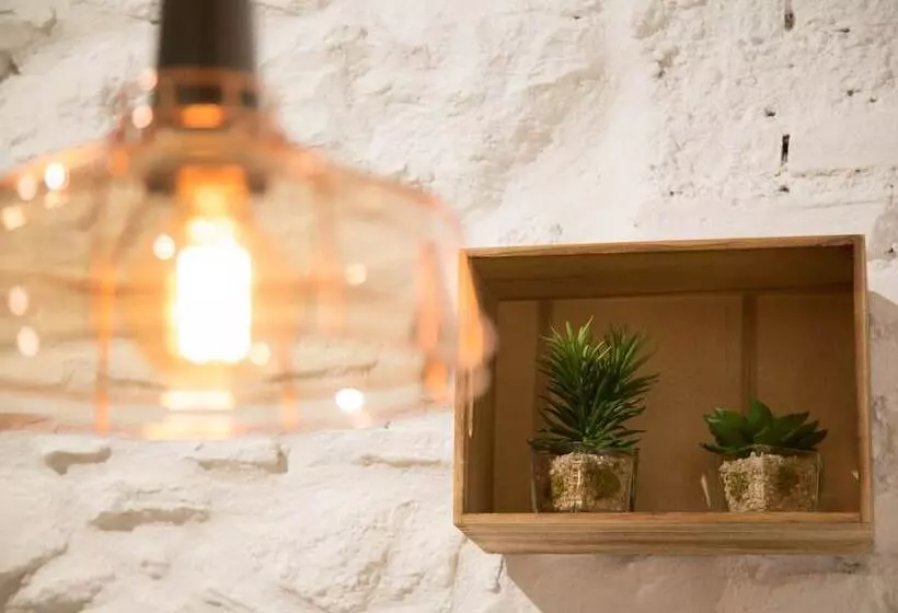 Fotos del hotel Petit Palace Plaza Del Carmen:  12