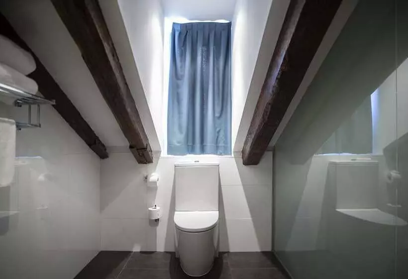 Fotos del hotel Petit Palace Plaza Del Carmen:  11