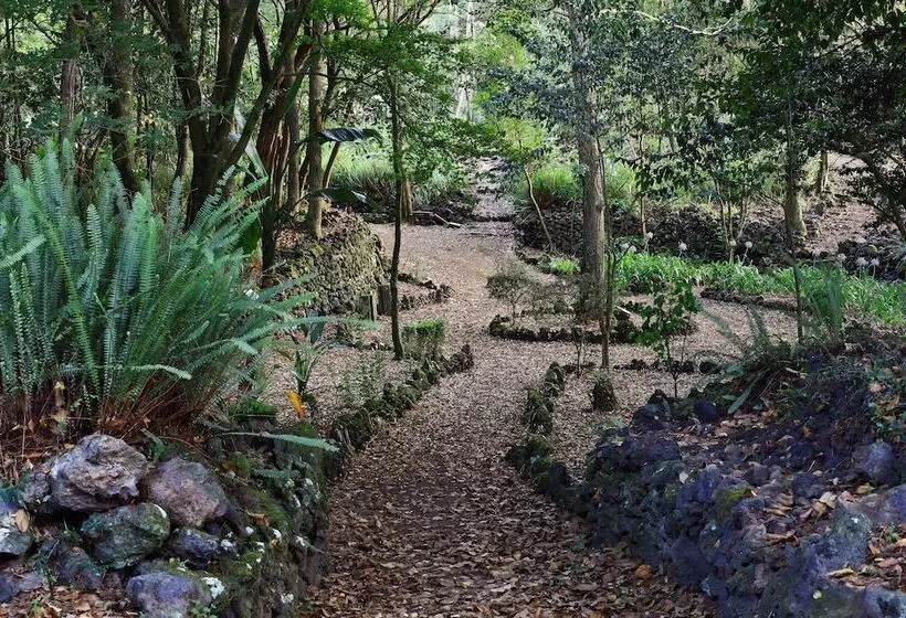 Fotos del hotel Solar Do Conde:  9