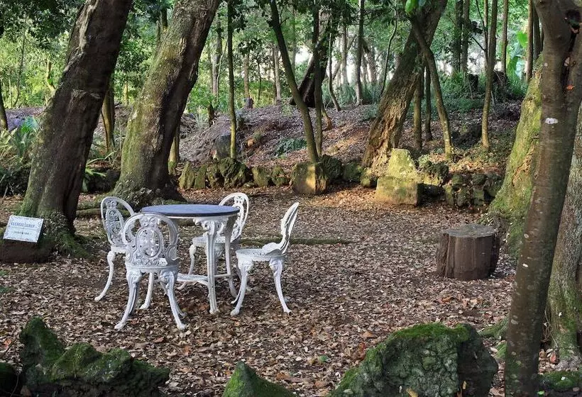 Fotos del hotel Solar Do Conde:  14