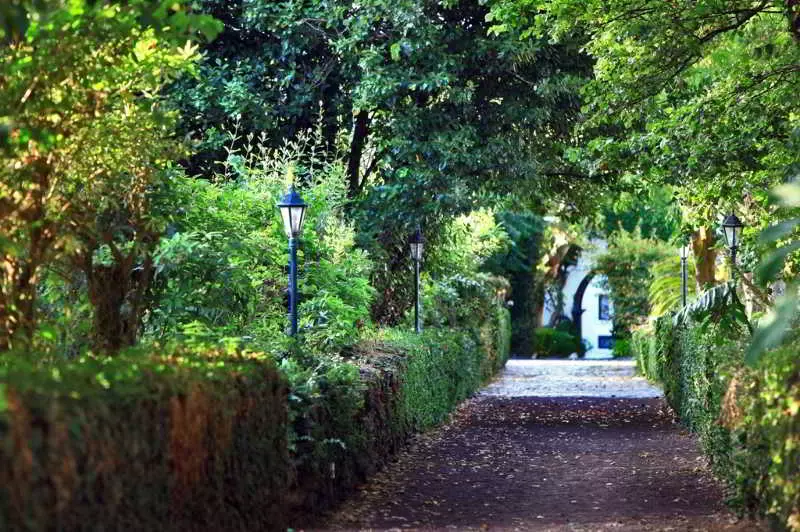 Fotos del hotel Solar Do Conde:  19