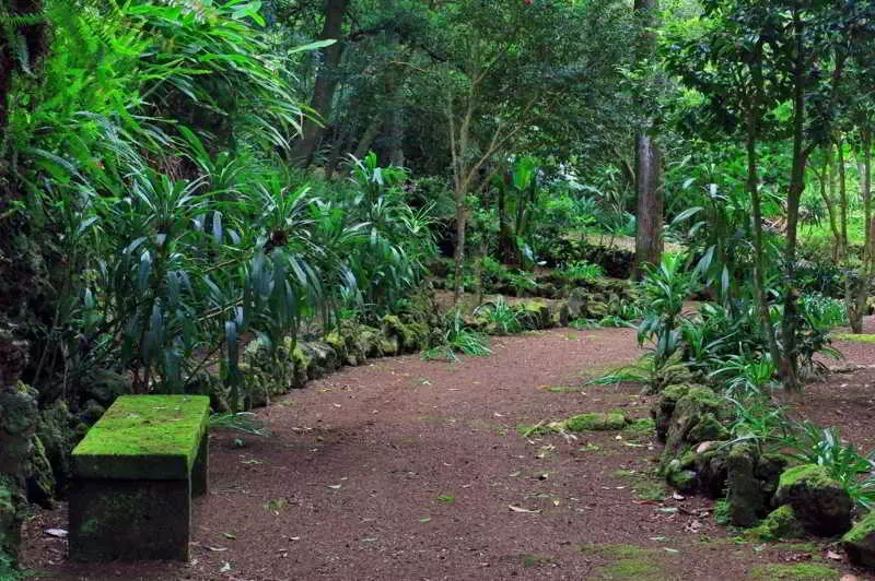 Fotos del hotel Solar Do Conde:  15