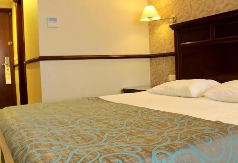 Fotos del hotel Topkapi Inter Istanbul:  8