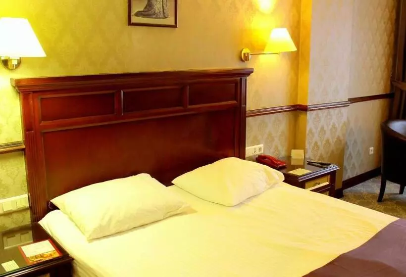 Fotos del hotel Topkapi Inter Istanbul:  21