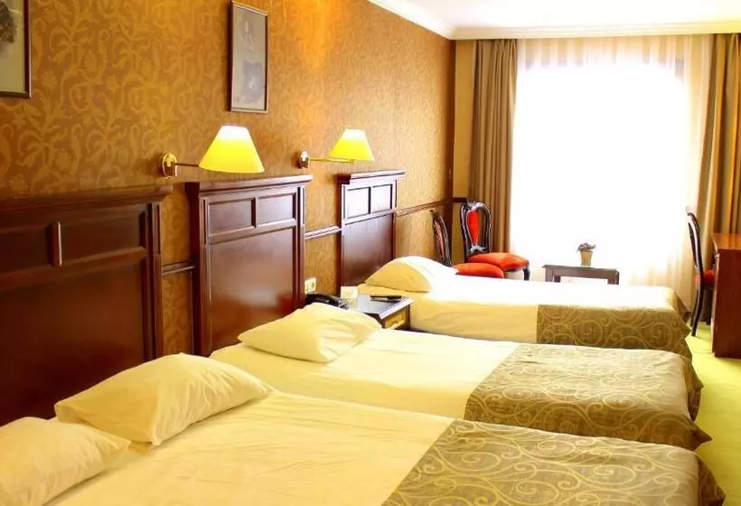 Fotos del hotel Topkapi Inter Istanbul:  18