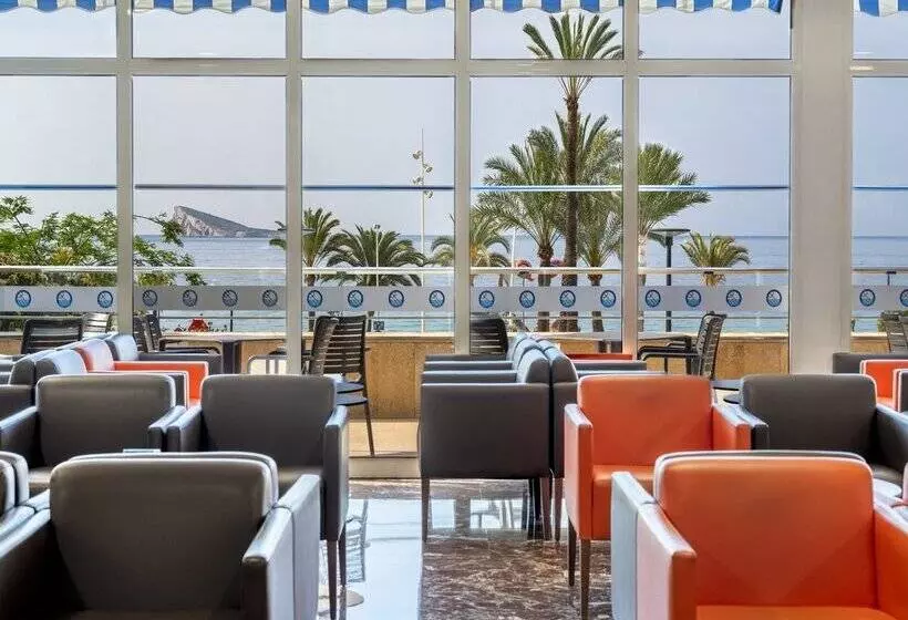 Fotos del hotel Poseidon Playa:  163