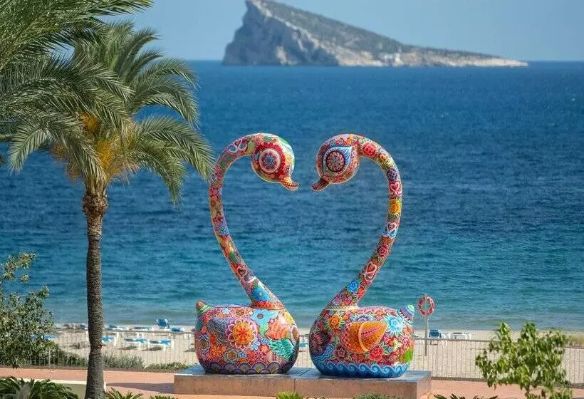 Fotos del hotel Poseidon Playa:  167