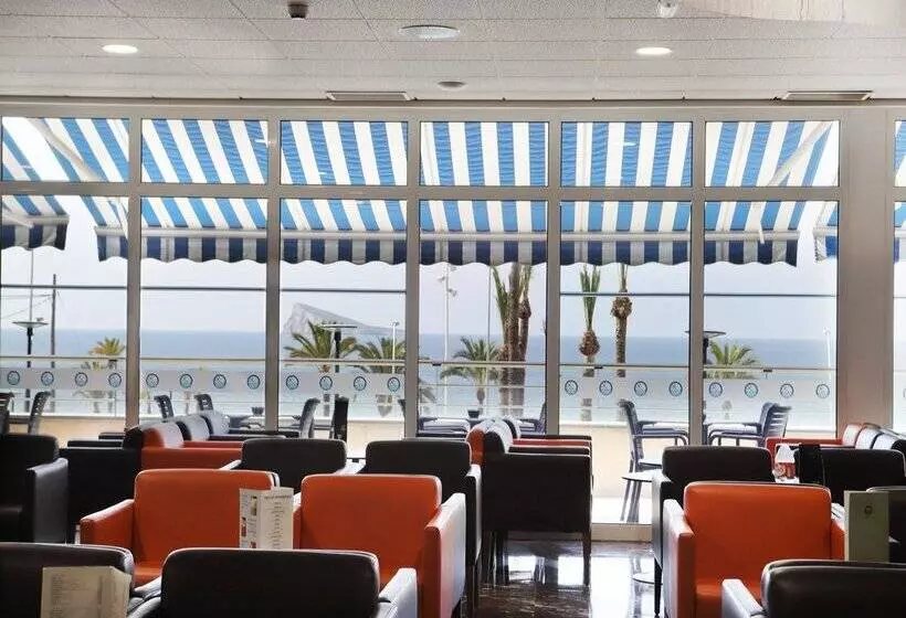 Fotos del hotel Poseidon Playa:  140