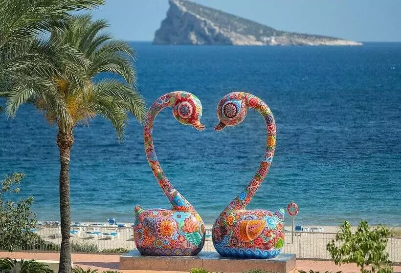 Fotos del hotel Poseidon Playa:  170