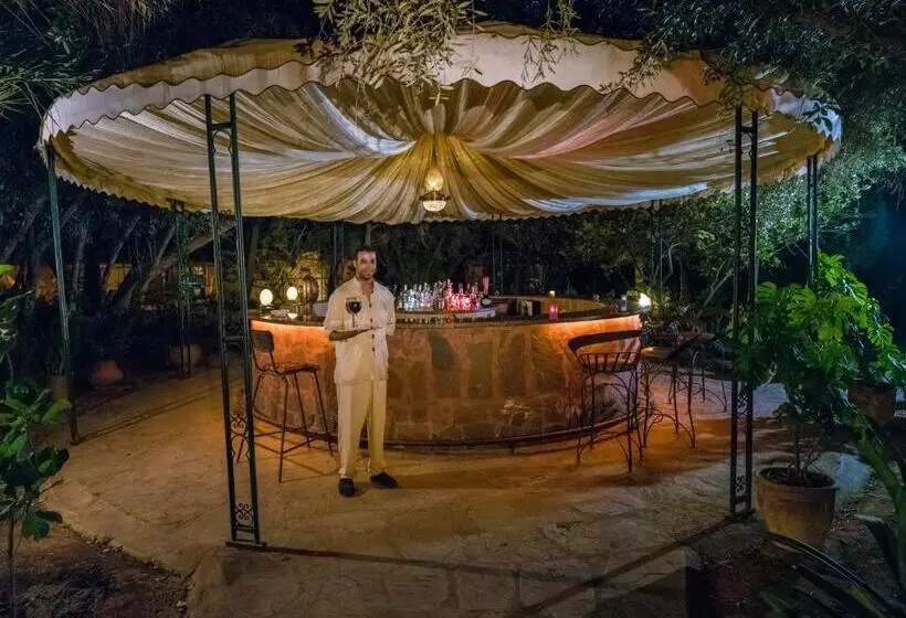 Fotos del hotel Dar Ayniwen Garden  & Bird Zoo:  10