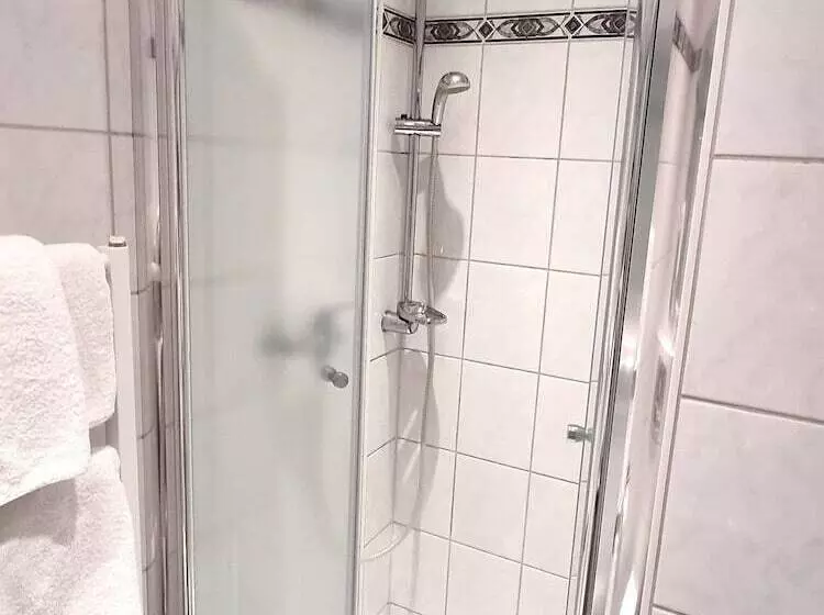 Fotos del hotel Adler Hotel Frankfurt:  25