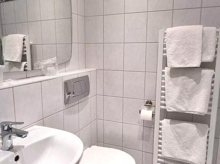 Fotos del hotel Adler Hotel Frankfurt:  6