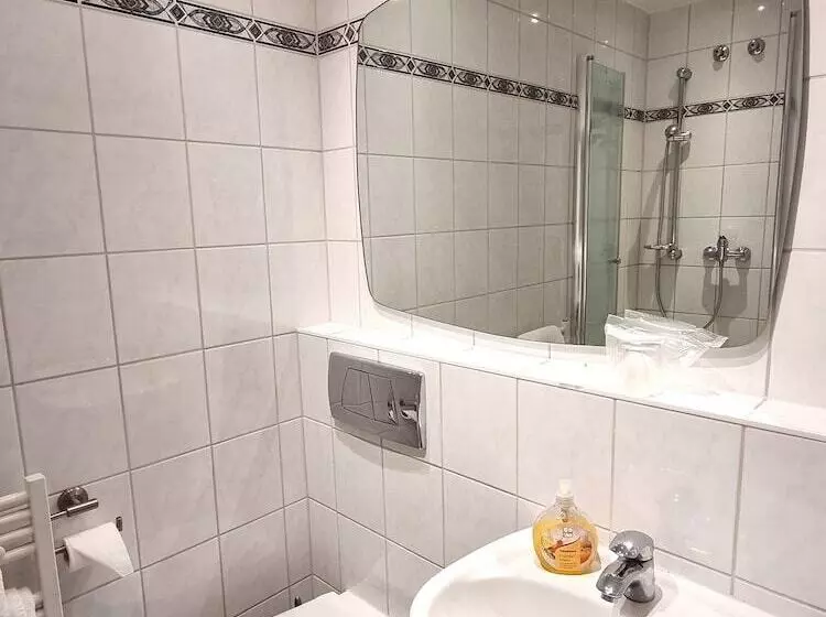 Fotos del hotel Adler Hotel Frankfurt:  14