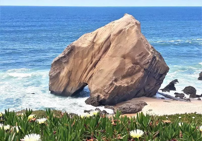 Fotos del hotel Santa Cruz:  12