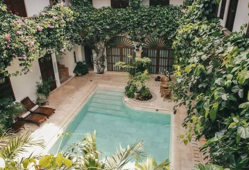 Fotos del hotel Boutique Casa Del Arzobispado:  2