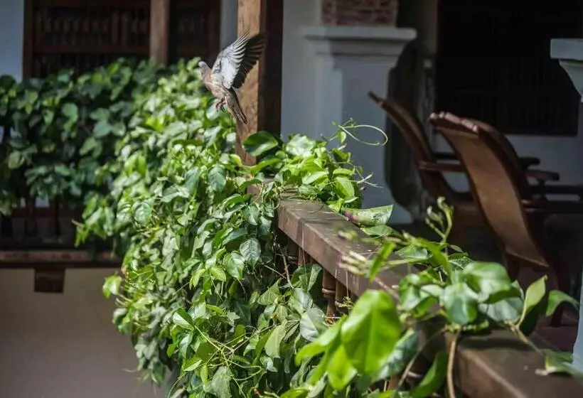 Fotos del hotel Boutique Casa Del Arzobispado:  8