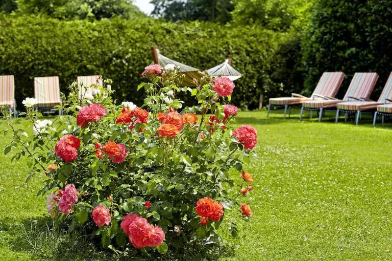 Fotos del hotel Hirschen In Freiburg-lehen:  9