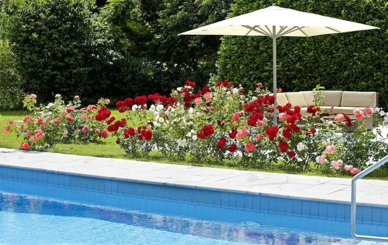 Fotos del hotel Hirschen In Freiburg-lehen:  2