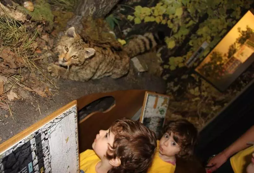 Fotos del hotel Italia:  20