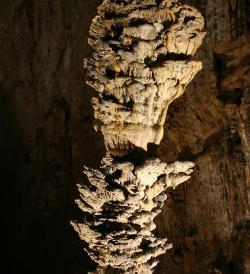 Fotos del hotel Italia:  23