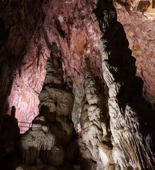 Fotos del hotel Italia:  13