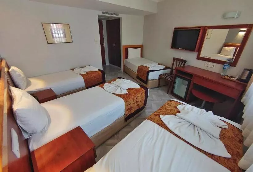 Fotos del hotel Orient Mintur:  12