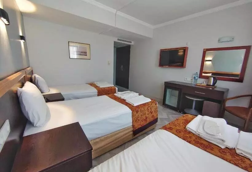 Fotos del hotel Orient Mintur:  13