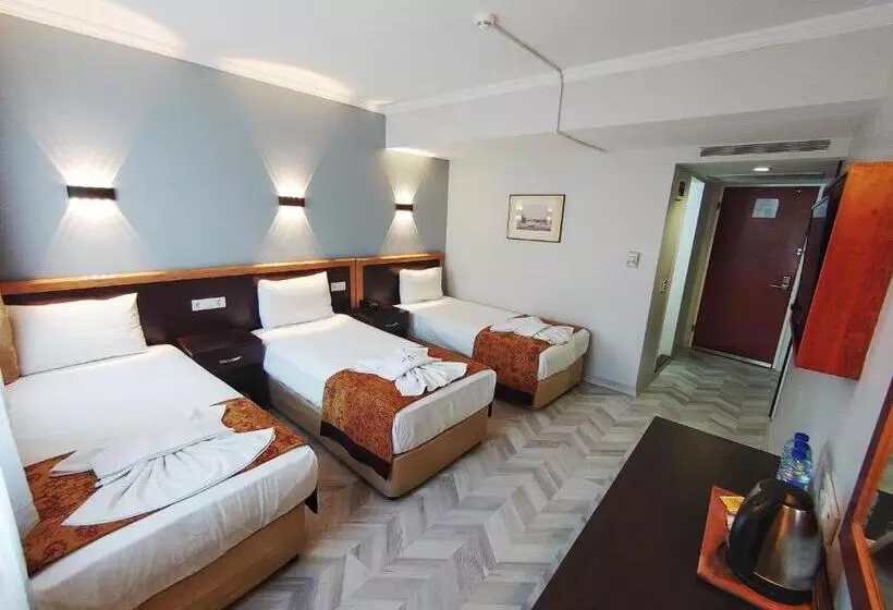 Fotos del hotel Orient Mintur:  20