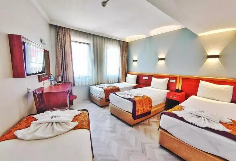 Fotos del hotel Orient Mintur:  7