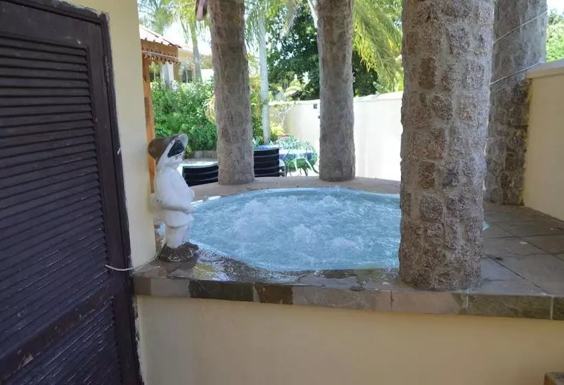 Fotos del hotel Coco D Or:  12